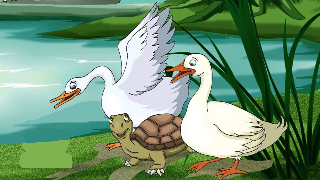 28