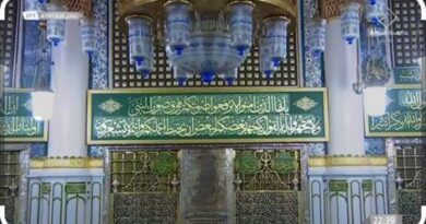 Mehrab member